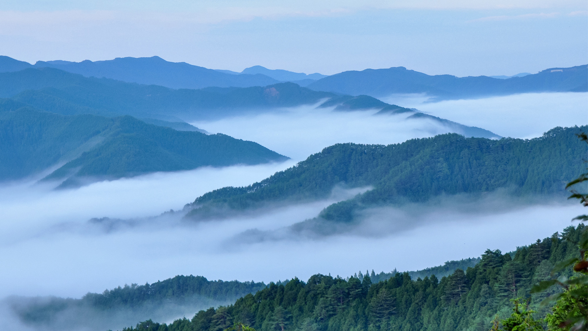 ・【雲海】標高1，260mの立里荒神社から見える雲海