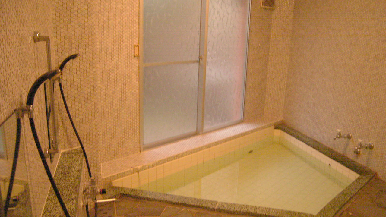 Hotel Toko Siroiwa Image 3, Niigata, Japan