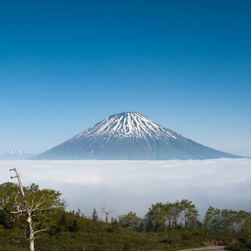 【羊蹄パノラマテラス】からの風景。雲海と羊蹄山※雲海は気象条件が揃うことで発生する現象です。