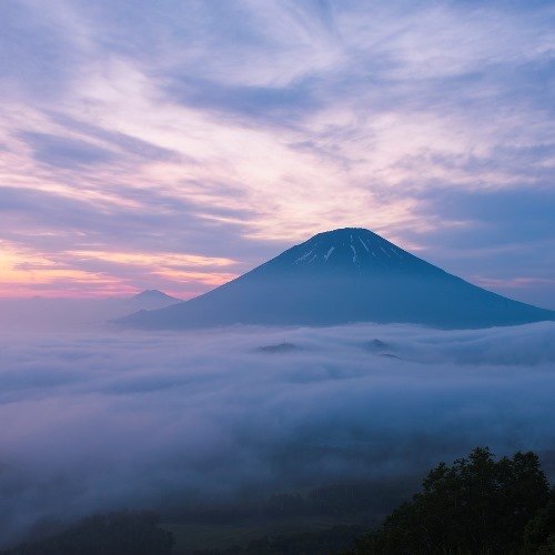 【羊蹄パノラマテラス】幻想的な雲海