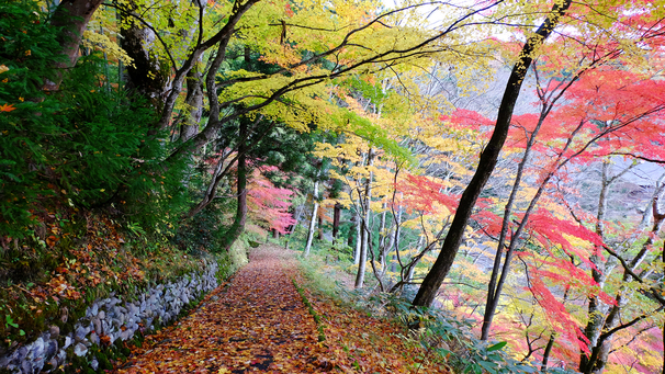 紅葉シーズンの周辺観光