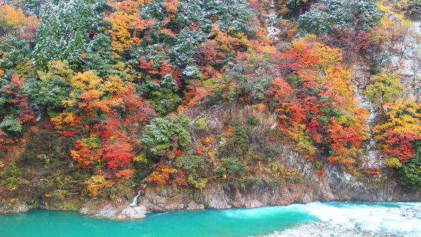 【秋の景色】紅葉と雪と黒部川の三段染めです。