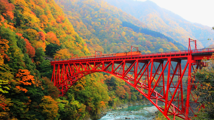 【黒部峡谷鉄道】紅葉と新山彦橋を走るトロッコ電車（10月中旬〜11月中旬）