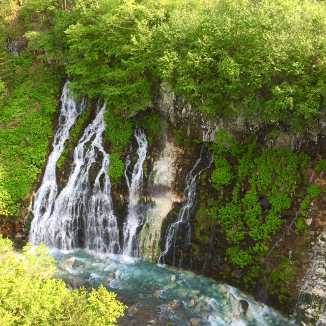 白ひげの滝「6月」