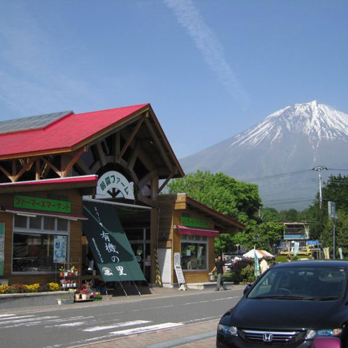 ミルクランド（お車で４０分）ソフトクリームがピカイチ！いろんな動物がいるよ♪