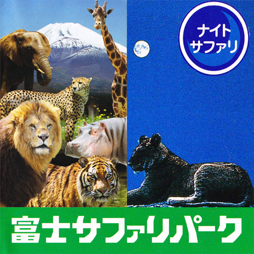 富士サファリパーク（車で４０分）ライオンやキリンが大迫力！