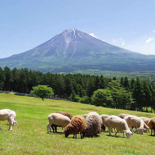 まかいの牧場（お車で３５分）大自然の中でお子さまも大満足（^o^）