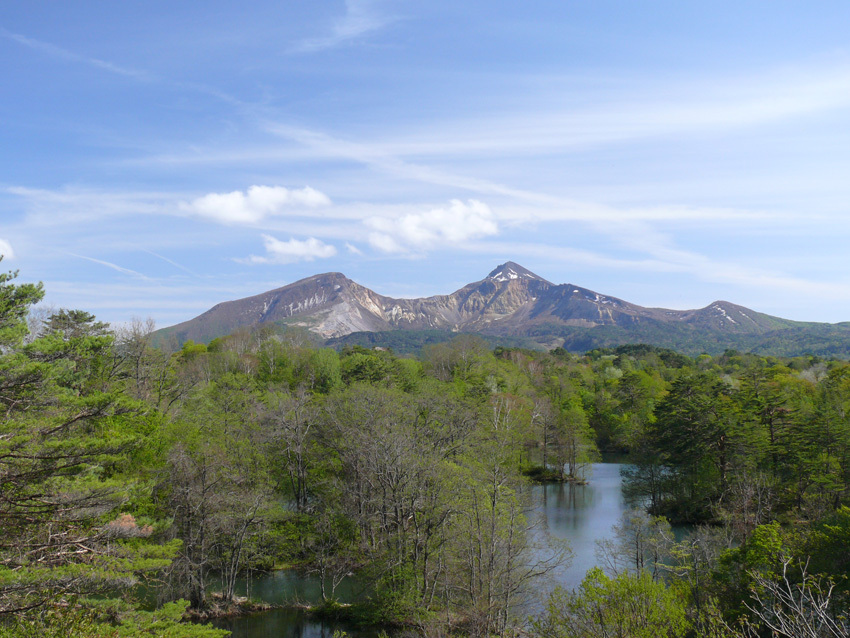 ネイチャーガイドと歩こうⅢ