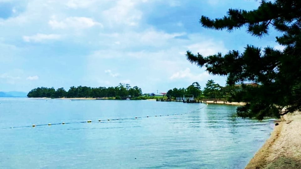 *当館目の前の琵琶湖の水は本当に澄んでいて綺麗です♪水面からおさかなもみえますよ！