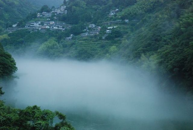 霧のかかる仁淀川集落と茶畑②