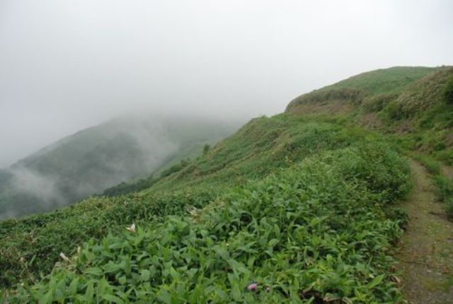 標高１５４１ｍへの誘い中津明神山雨雲が急に上昇し始めた