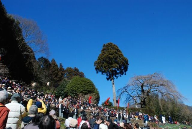 ２０１２秋葉まつりギャラリー 細い山道を秋葉神社を目指す「練り」。