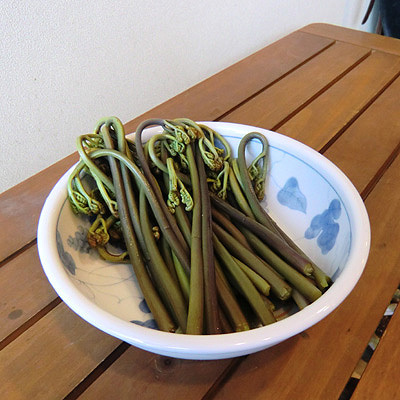 下処理した「わらび」