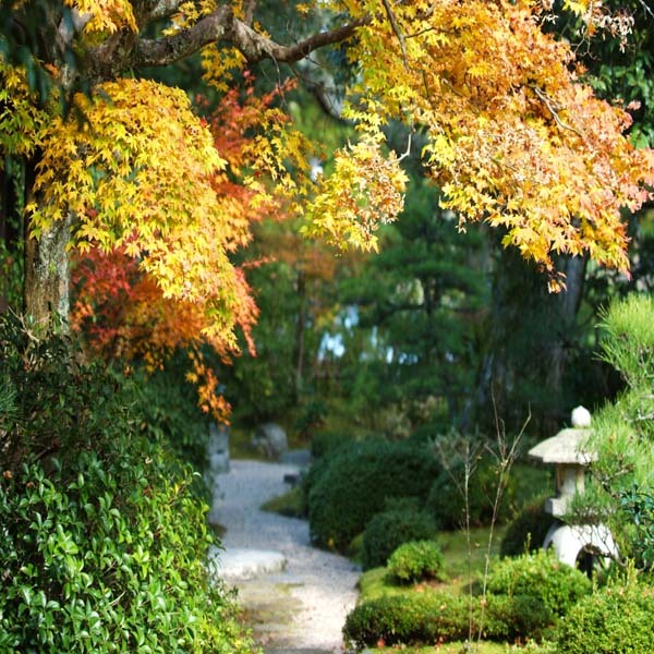 This photo about Monjuso Shorotei shared on HyHotel.com