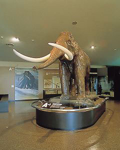 野尻湖ナウマン象博物館