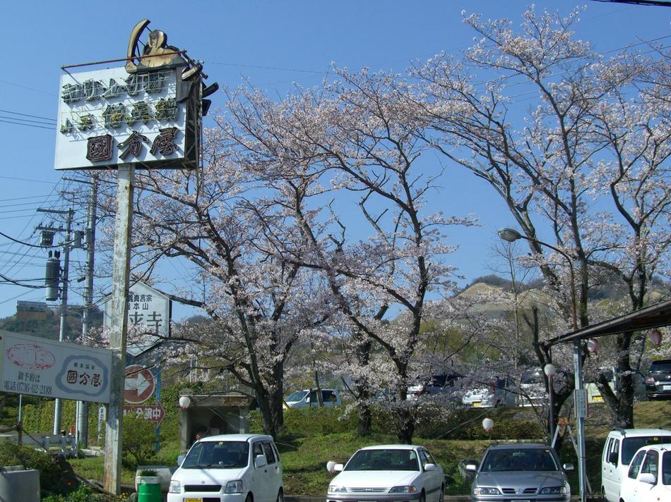 外観 -04