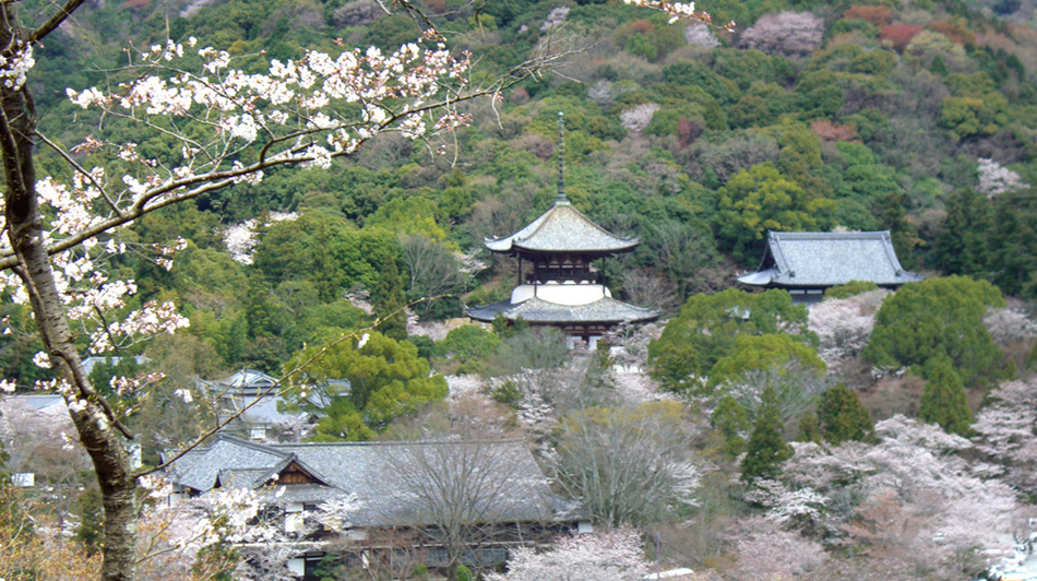 根来寺 ・多宝塔