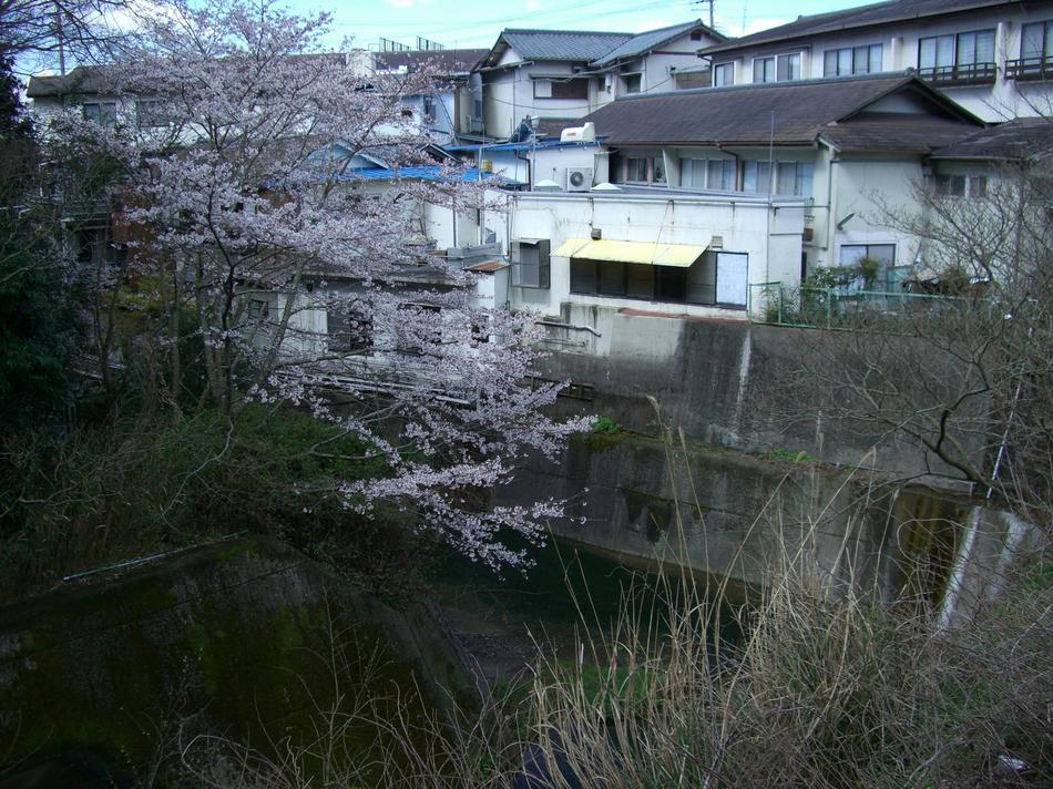 外観 -01