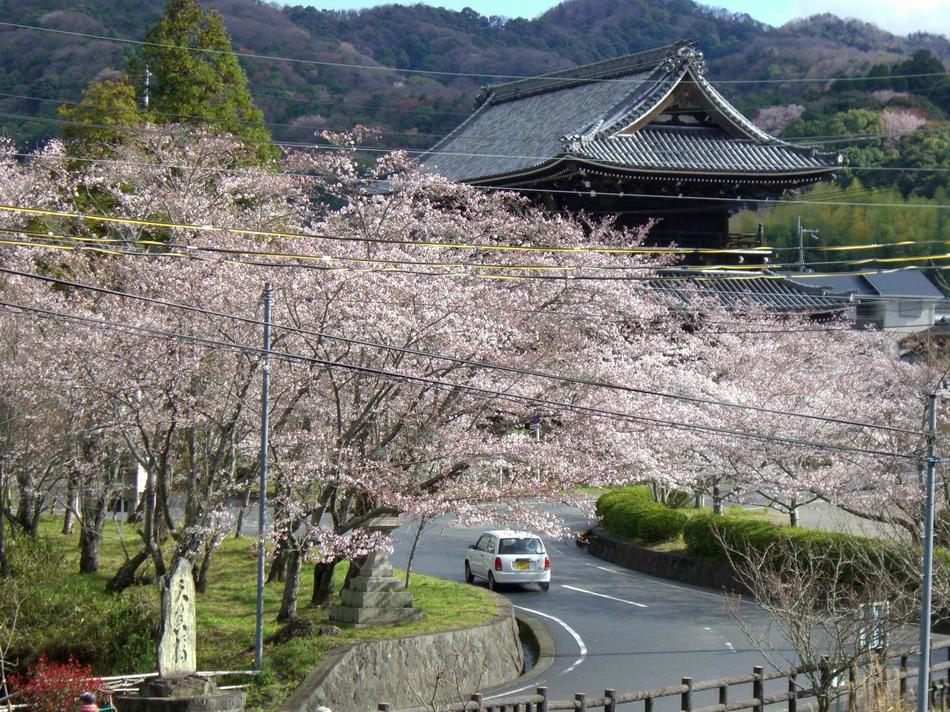 根来寺・大門