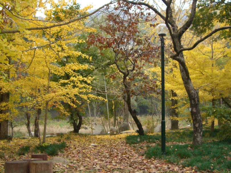 秋の庭園