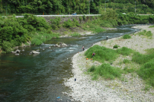 鮎釣り