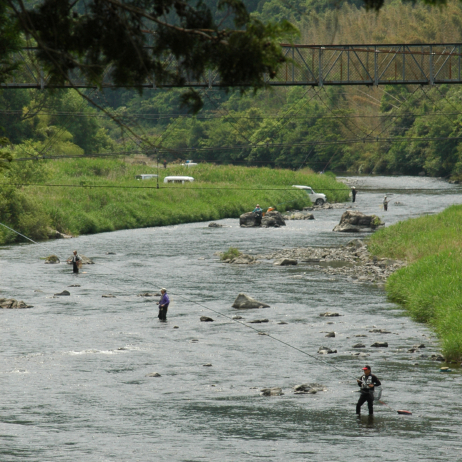 鮎釣り