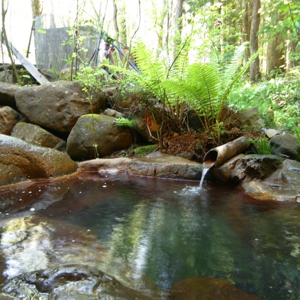 Okuhidasanso Norikuraikkyuu Image 5, Takayama, Japan