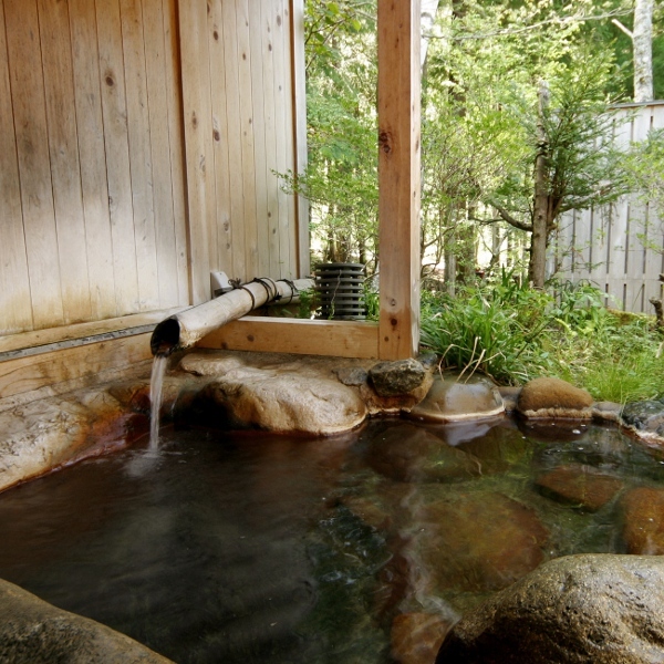 Okuhidasanso Norikuraikkyuu Image 4, Takayama, Japan