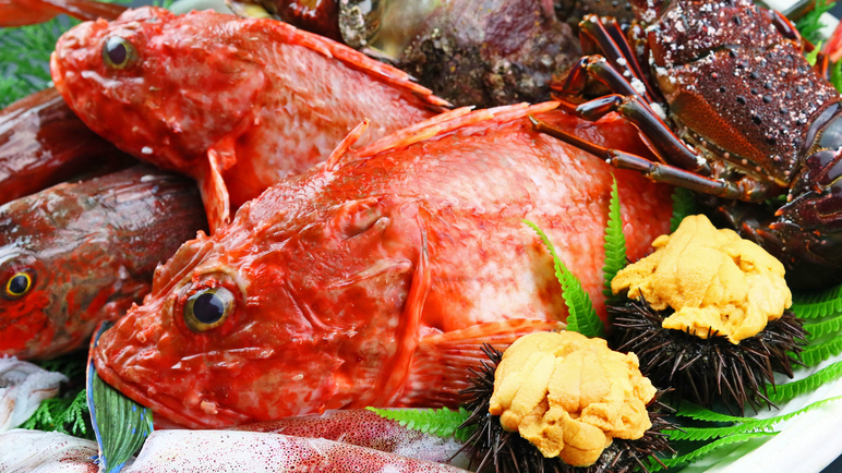 *その日一番おいしい旬の地魚を地元の漁港から直接仕入れています。