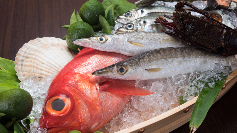 *【駿河の海の幸】近海で獲れた鮮度にこだわりのある魚介類をお楽しみください。