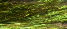 This photo about Kominka Nowake shared on HyHotel.com