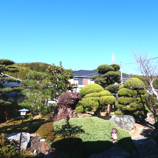 お部屋からは四季の景色を感じる庭園を望むことが出来ます