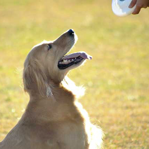 Hotel Fusch Main Image Hotel Fusch, Kitaakita