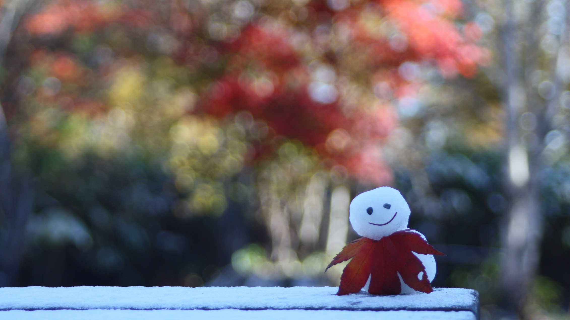 *[秋イメージ]タイミング合えば、雪と紅葉がいっぺんに？！例年紅葉の見頃は10月〜11月頃