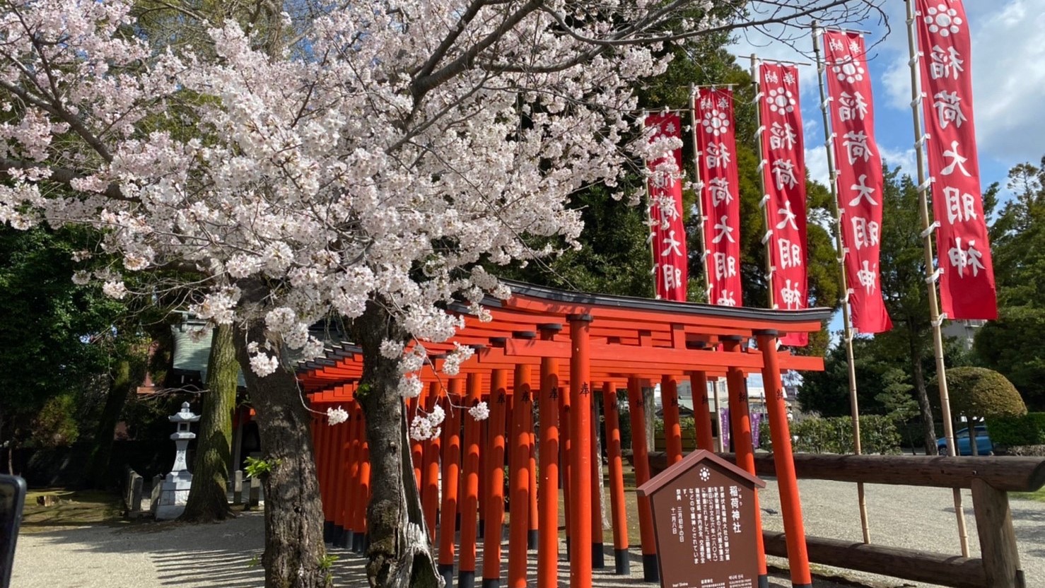 【周辺情報】春の水前寺成趣園 稲荷神社