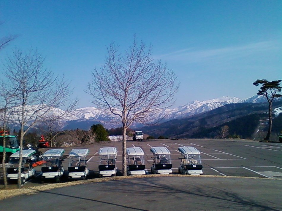 グリーンシーズン