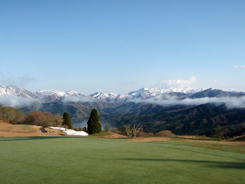 グリーンシーズン