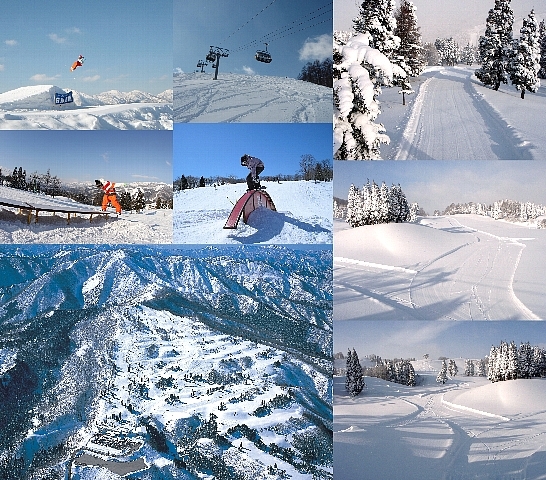 総合ゲレンデパウダー