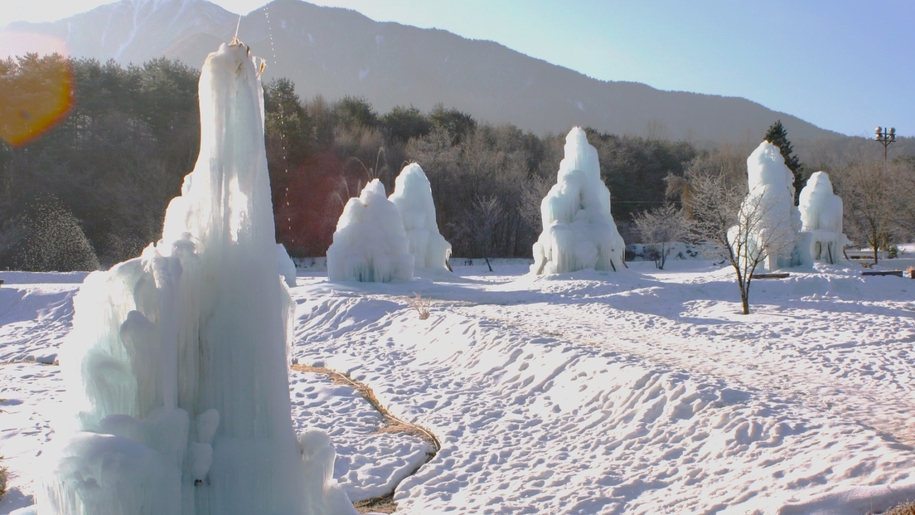 樹氷