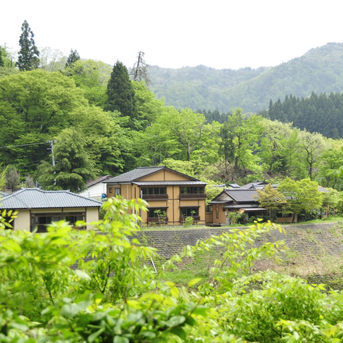 新緑の当館