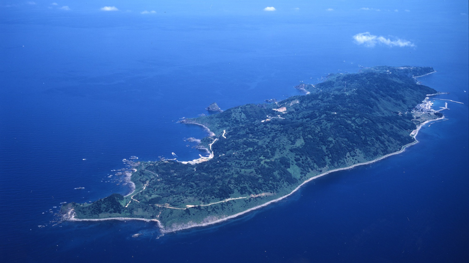 *周辺／粟島魚介類の宝庫！当館の「鯛」料理は粟島産を使用しています