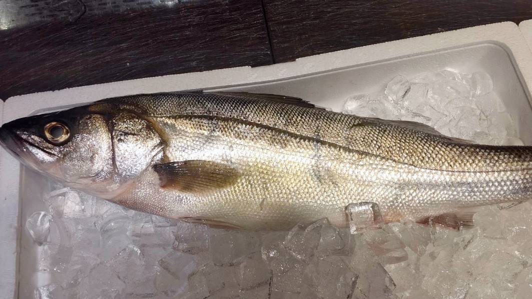 *周辺／岩船港鮮魚センター水揚げされた活きの良い地物や旬の魚がずらり