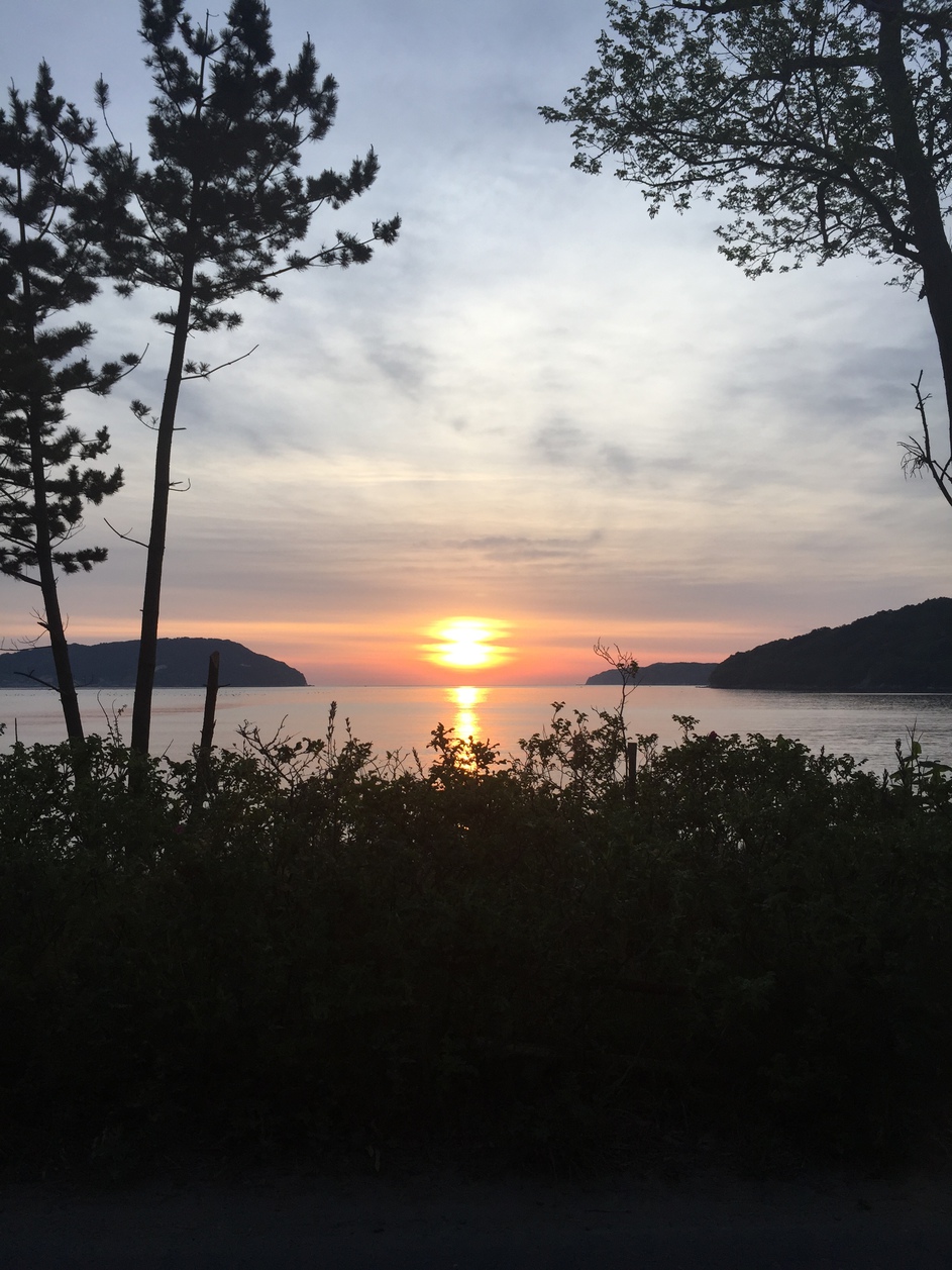 宝来館から見える三陸(大槌湾)根浜海岸のハマナスと日の出