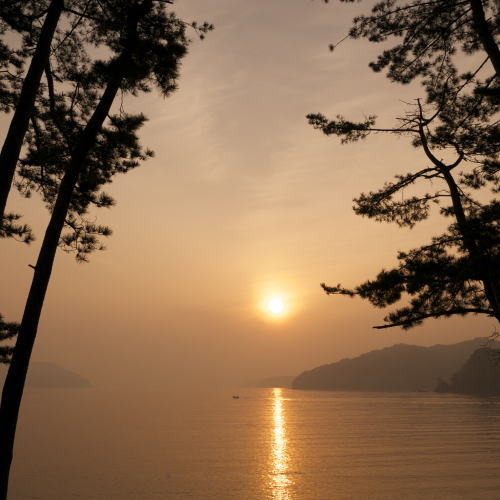 宝来館目の前三陸(大槌湾)根浜海岸の日の出