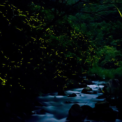 This photo about Yabakei Onsen Yabakei Auberge Funoki shared on HyHotel.com