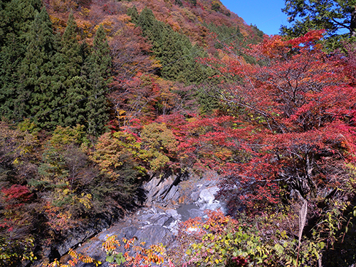 渓谷の紅葉