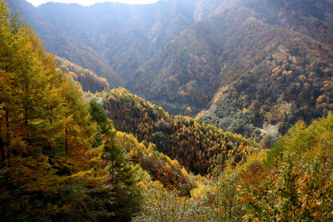 広河原（白鳳渓谷）