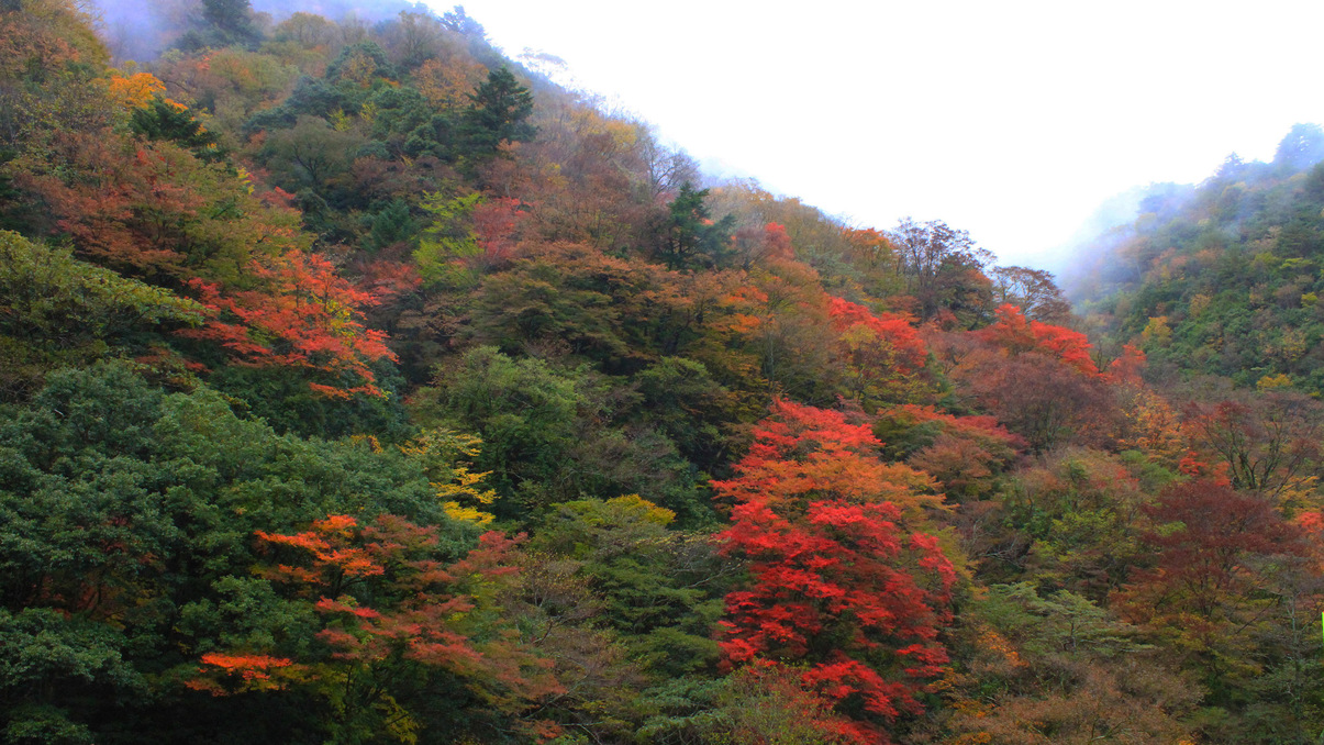 *【周辺】秋の紅葉