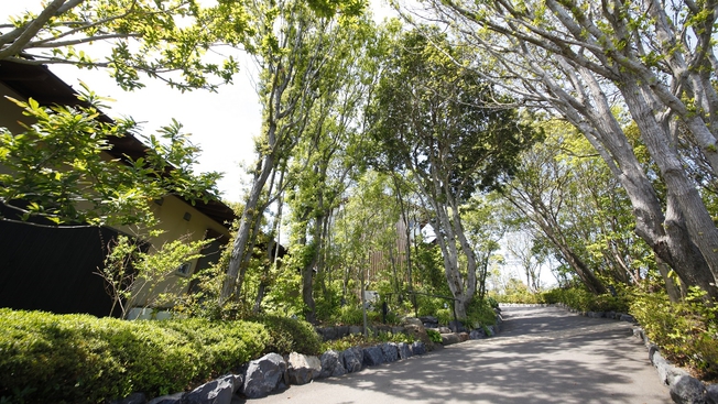 客室＿海里のはなれ「花の冠」