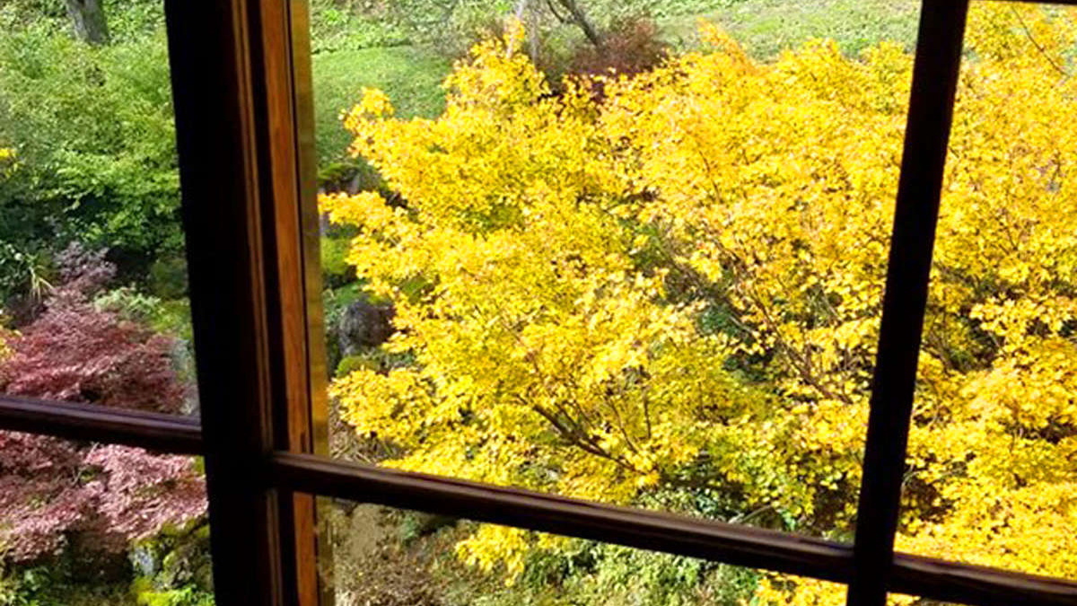 【館内からの風景（秋）】10月中旬頃から11月中旬頃までが紅葉の見ごろとなります。